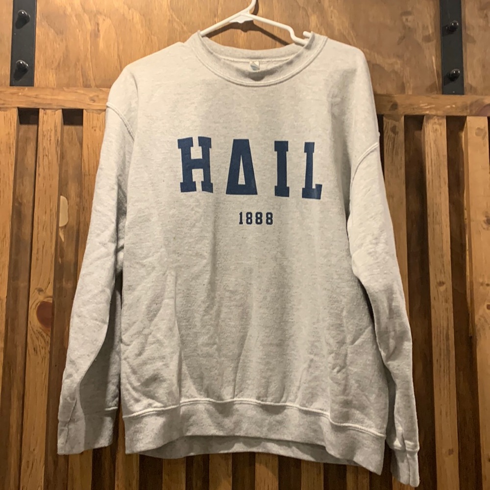 Vintage tri delt Hail to Pitt H2P crew neck size large
